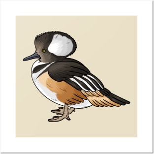 Hooded merganser bird cartoon illustration Posters and Art